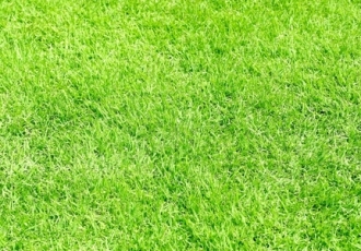 芝張りの土をお探しの方へ