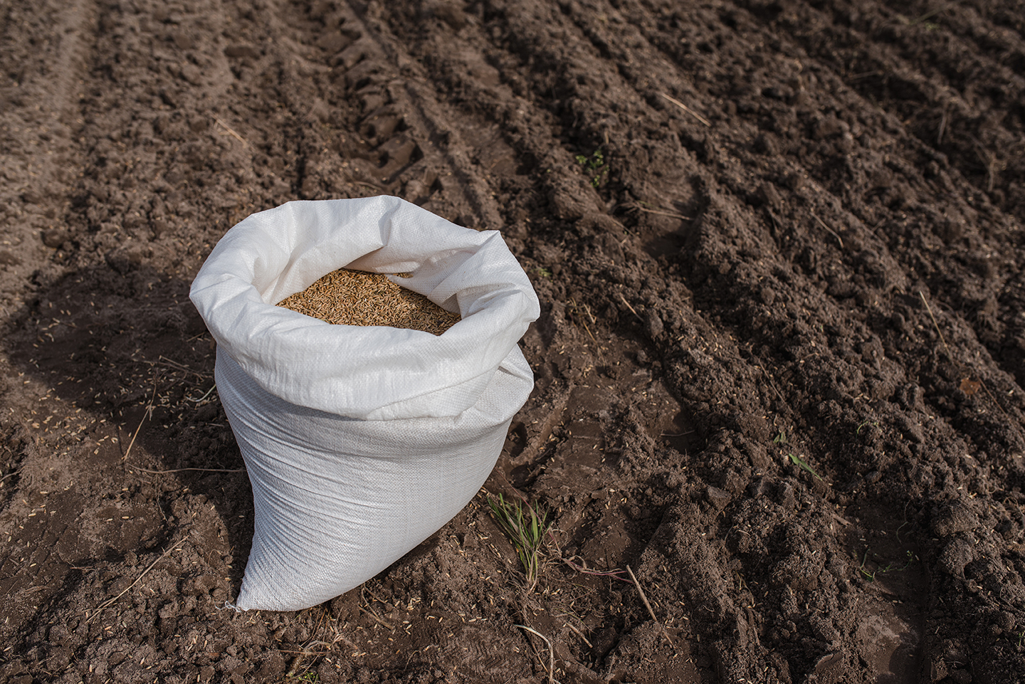 少量のご注文もお受け致します