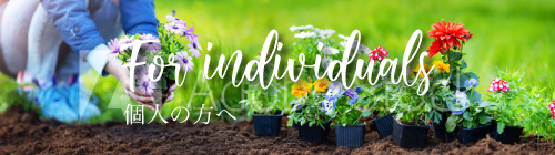 個人の方へ