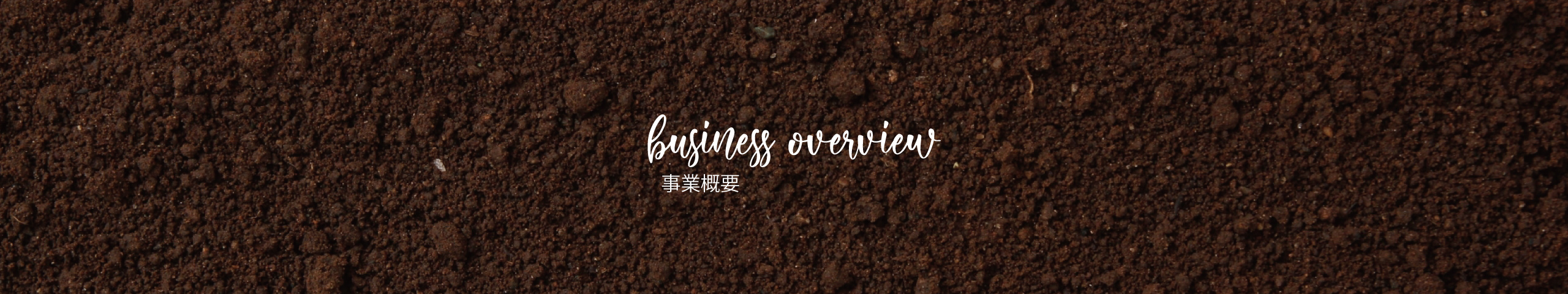 事業概要